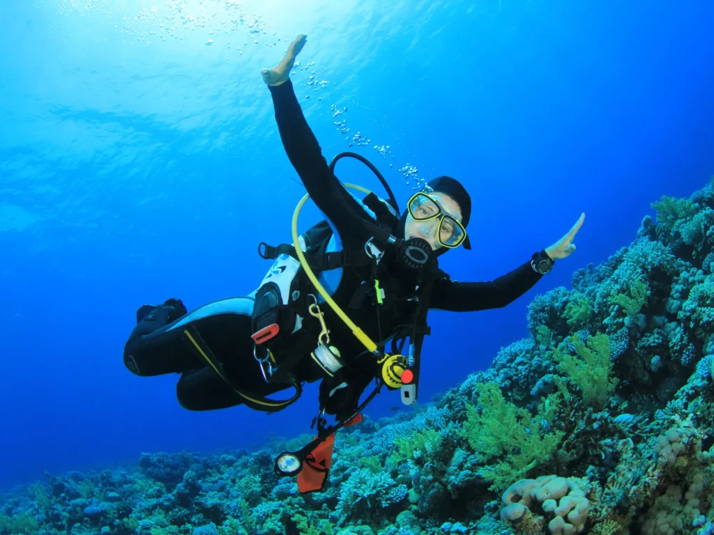 Best Diving Spots in Indonesia: Komodo & Beyond