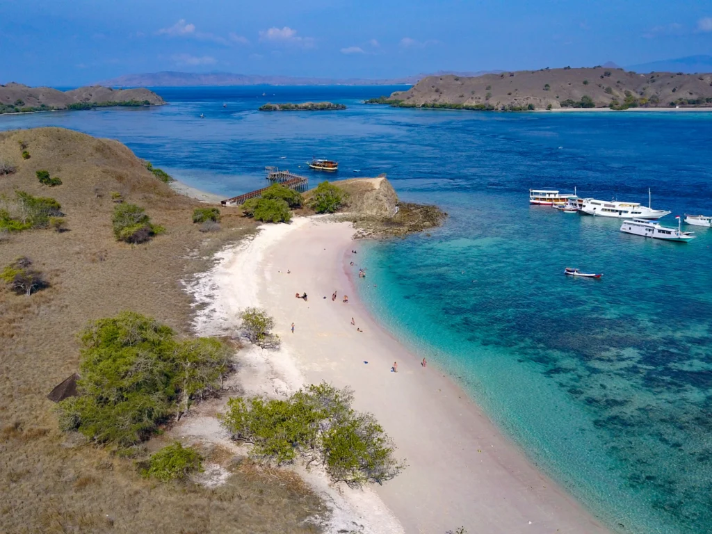 Komodo Island Park: Discover a UNESCO Treasure in Indonesia