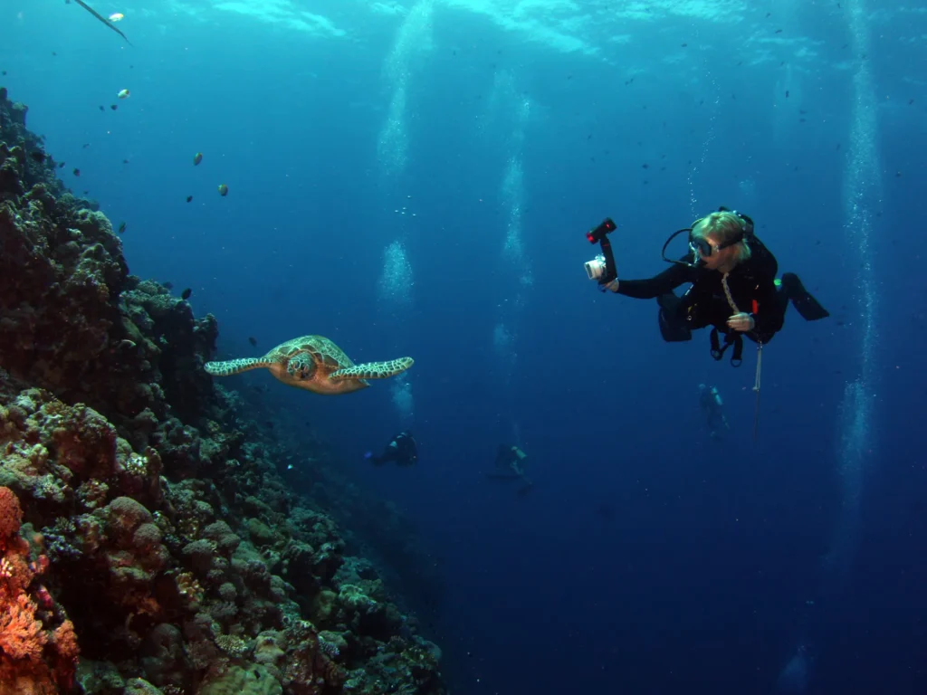 End of the World: Komodo’s Edge of the Map Dive