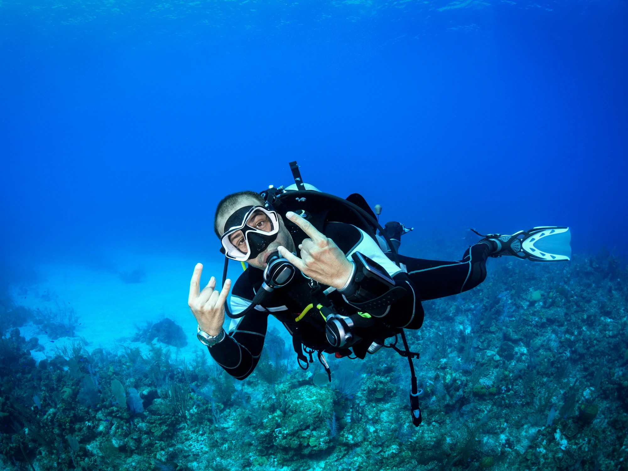 Komodo Diving