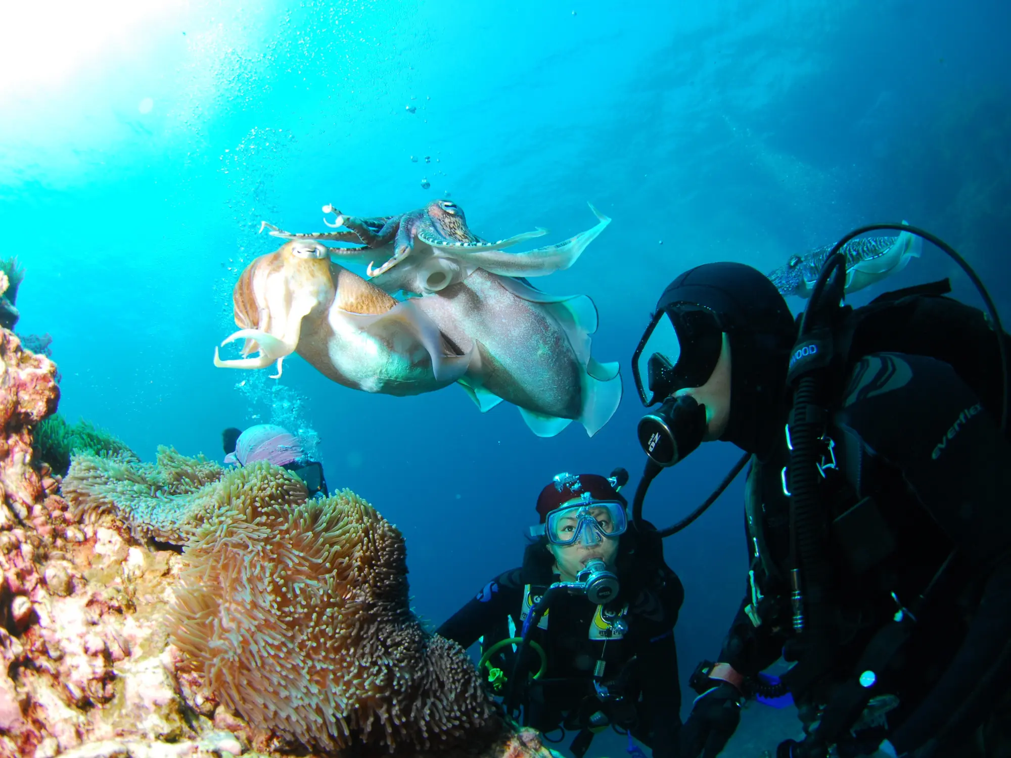 diving center