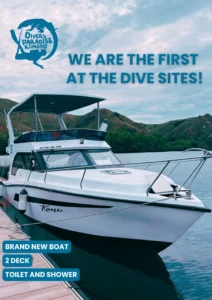 Fast boat diving in komodo
