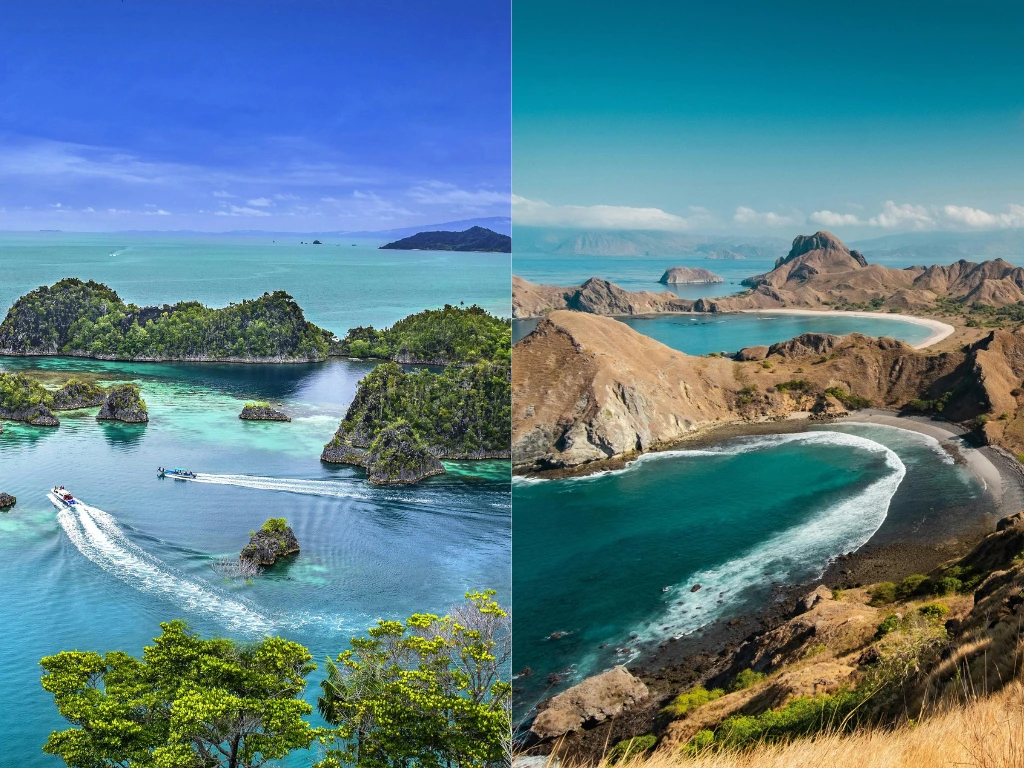 Komodo or Raja Ampat: Which Diving Destination Should You Choose?