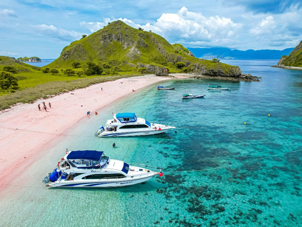 What Certification Do You Need to Dive in Komodo?