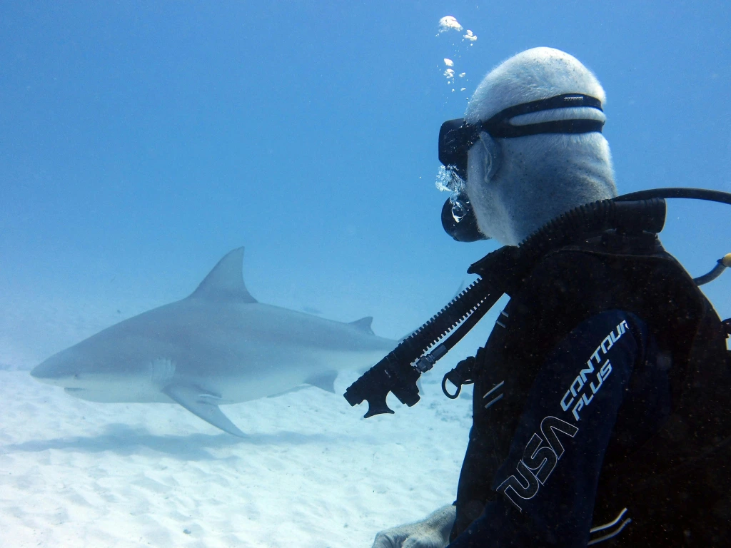 How Much Does Diving in Komodo Cost? Everything You Need to Know